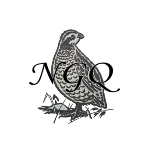 NGQ logo